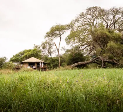 Enclavado en un remoto rincón del Parque Nacional de Tarangire.