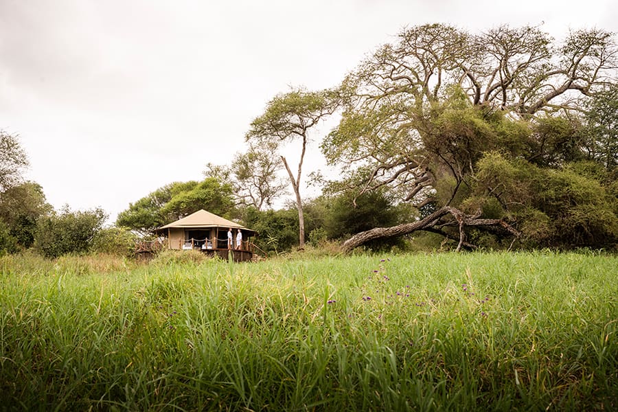 Enclavado en un remoto rincón del Parque Nacional de Tarangire.