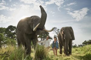 Santuario_Baines_interacción_exlefante