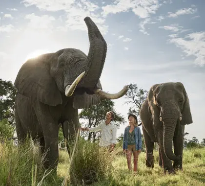 Santuario_Baines_interacción_exlefante