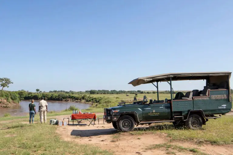 A safari drink stop.