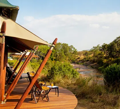Viewing deck over the reserve.