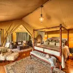Las 16 suites de lona del campamento están construidas sobre un entarimado elevado de madera dura.