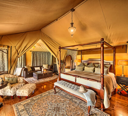 The camp’s 16 canvas suites are built on raised hardwood decking.