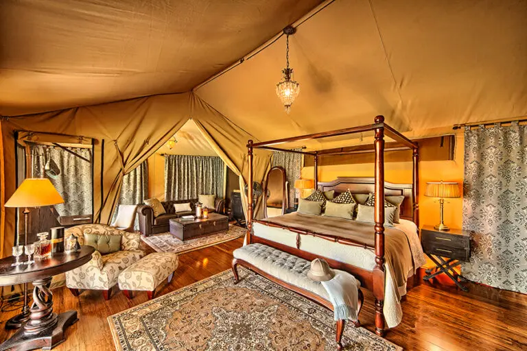 The camp’s 16 canvas suites are built on raised hardwood decking.