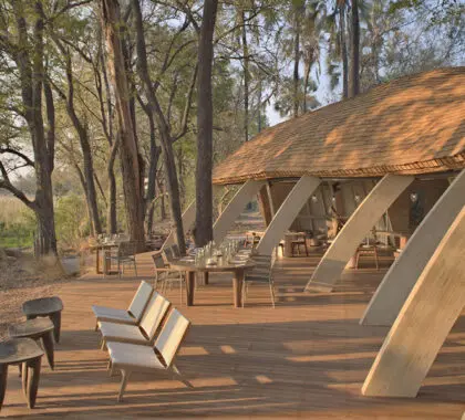 The beautifully designed Sandibe Okavango Safari Lodge. 