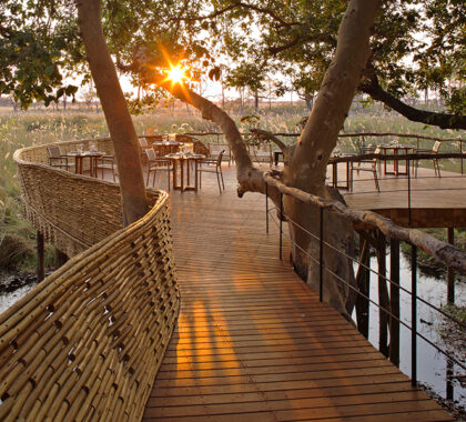 Sandibe Okavango Safari Lodge - Located in a large private concession.