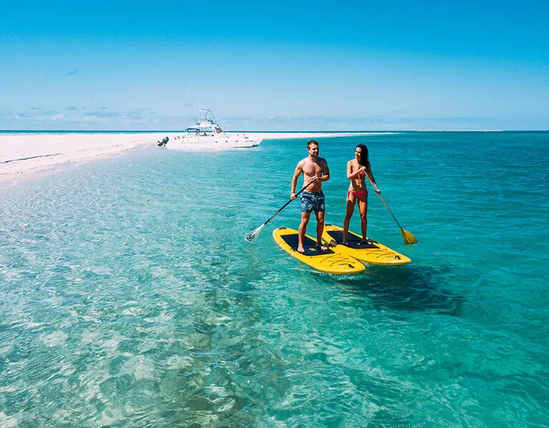 Explore the coastline on stand up paddle boards and various other water crafts. 