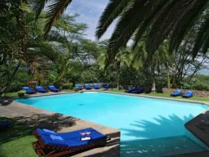 Have a refreshing dip into the pool on a hot summer day.