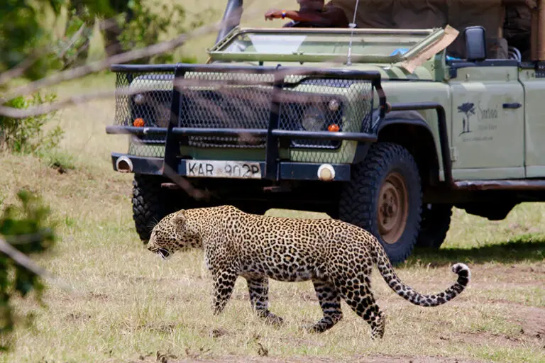 saruni-mara-5