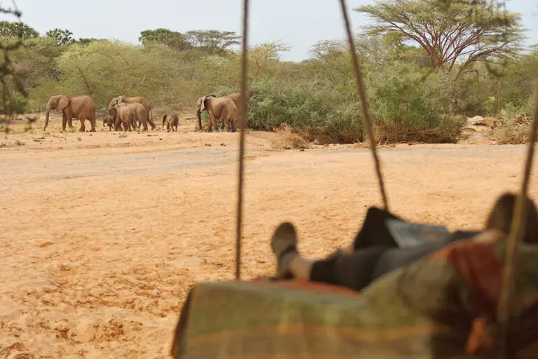 Cama en un árbol con vistas a la charca en Saruni Rhino.