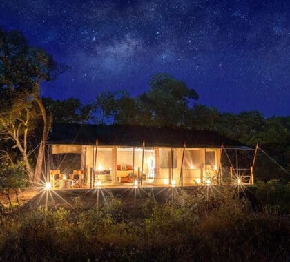 Tienda doble Saruni Wild bajo las estrellas. 