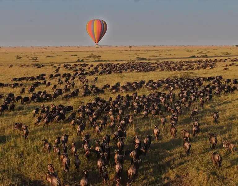 Avistamiento de migración en globo aerostático.