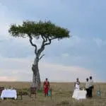 Al fresco dining among wildlife.