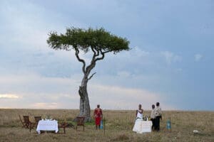Al fresco dining among wildlife.