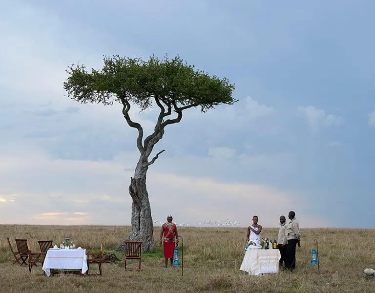Cenas al aire libre entre la fauna.
