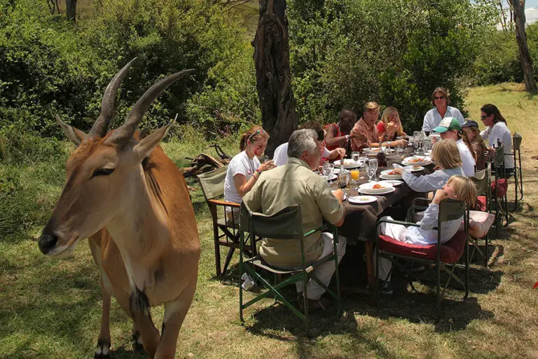 Picnic under the acacia trees.