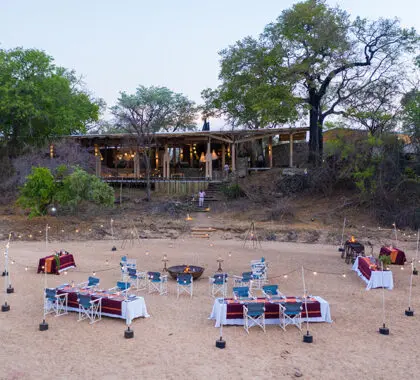 Disfrute de una suntuosa cocina en la selva africana. 