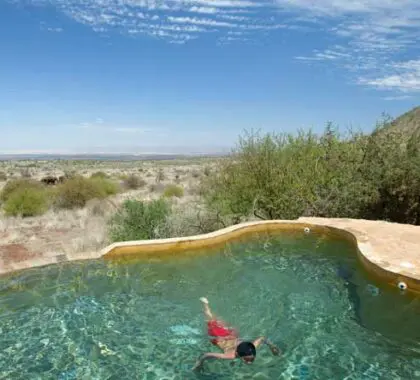 Return to camp after a morning's game drive and enjoy a refreshing swim in the rim-flow pool.