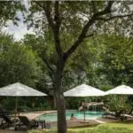 Il y a une piscine au lodge principal, avec des chaises longues et une vue sur le point d'eau.
