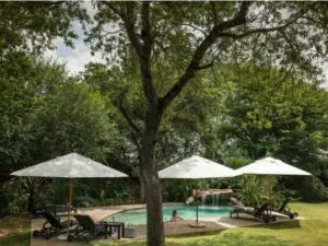 There's a pool at the main lodge, complete with sun loungers & waterhole views.