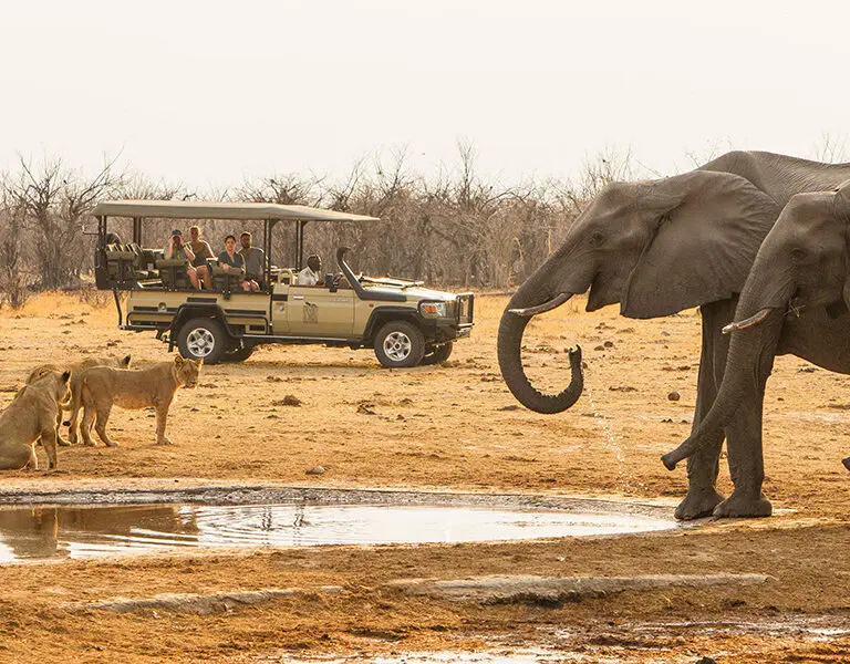 An elephant spotted on a game drive | Savute Safari Lodge