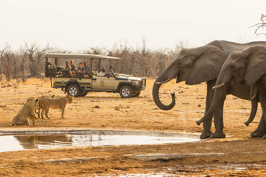 An elephant spotted on a game drive | Savute Safari Lodge