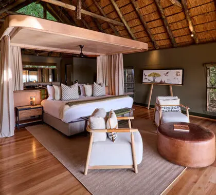 savute-safari-lodge-habitación-interior-doble_1