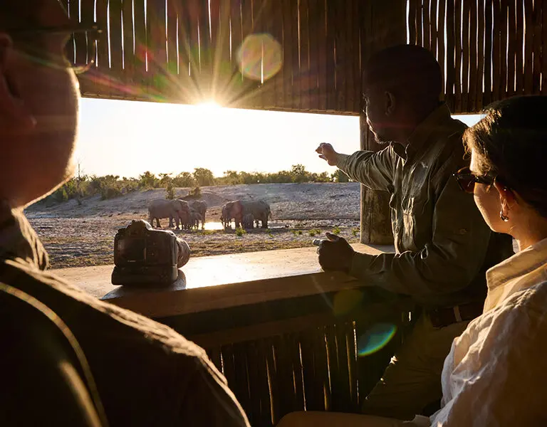 The photographic hide gets you closer to the action.