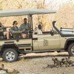 Emocionantes safaris.