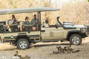 Emocionantes safaris.