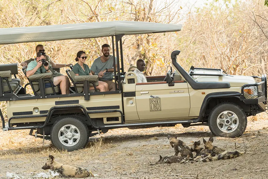 Emocionantes safaris.