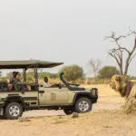 The Salute region in Chobe National Park is renowned for its lion population | Savute-Safari-Lodge