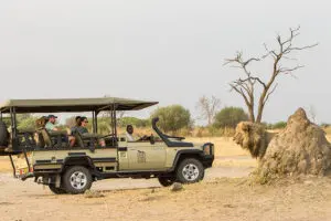 The Salute region in Chobe National Park is renowned for its lion population | Savute-Safari-Lodge