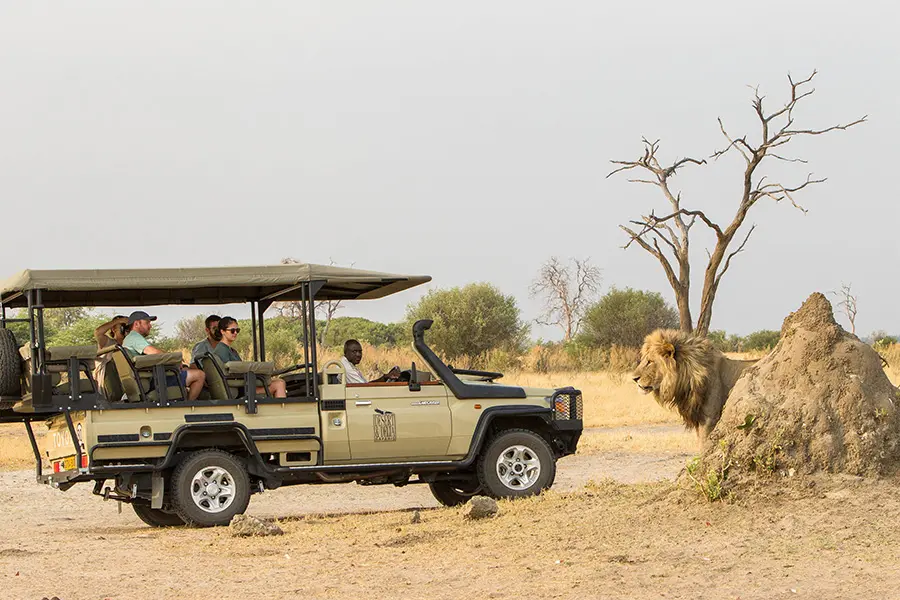 La región de Salute, en el Parque Nacional de Chobe, es famosa por su población de leones | Savute-Safari-Lodge