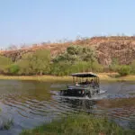 Disfrute de inolvidables safaris.