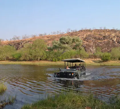 Disfrute de inolvidables safaris.