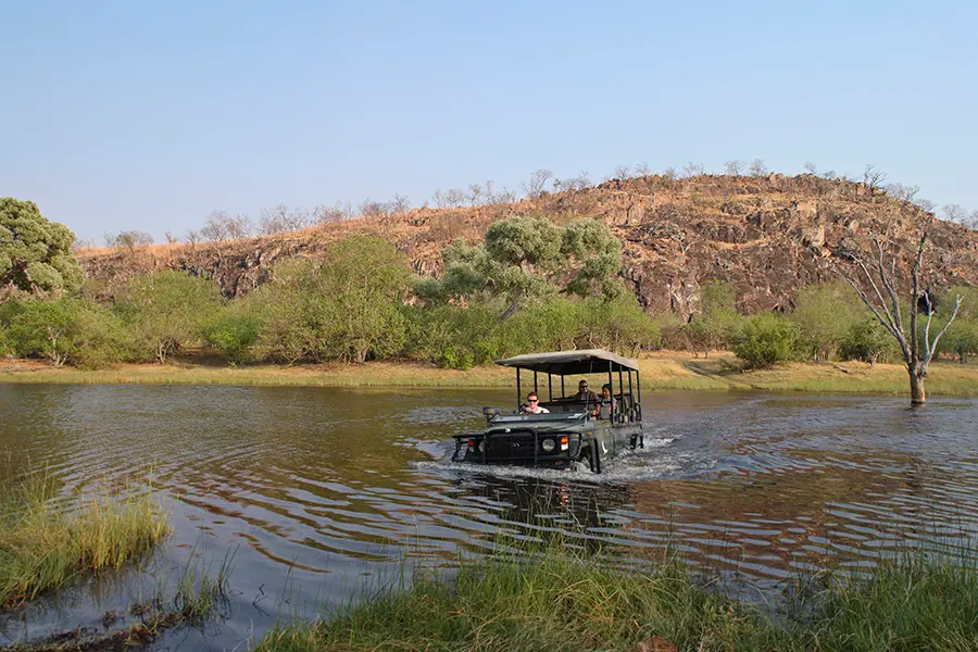 Enjoy memorable game drives.