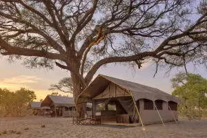 Un campamento móvil que se desplaza periódicamente a lugares privados.