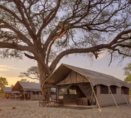Un campamento móvil que se desplaza periódicamente a lugares privados.