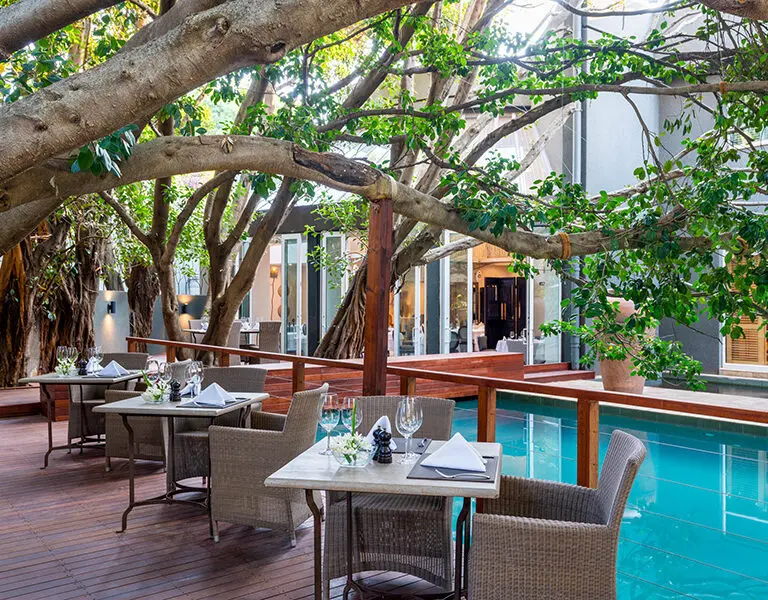 The Fig Terrace: cenas en la terraza con vistas a la piscina y al estanque koi. 