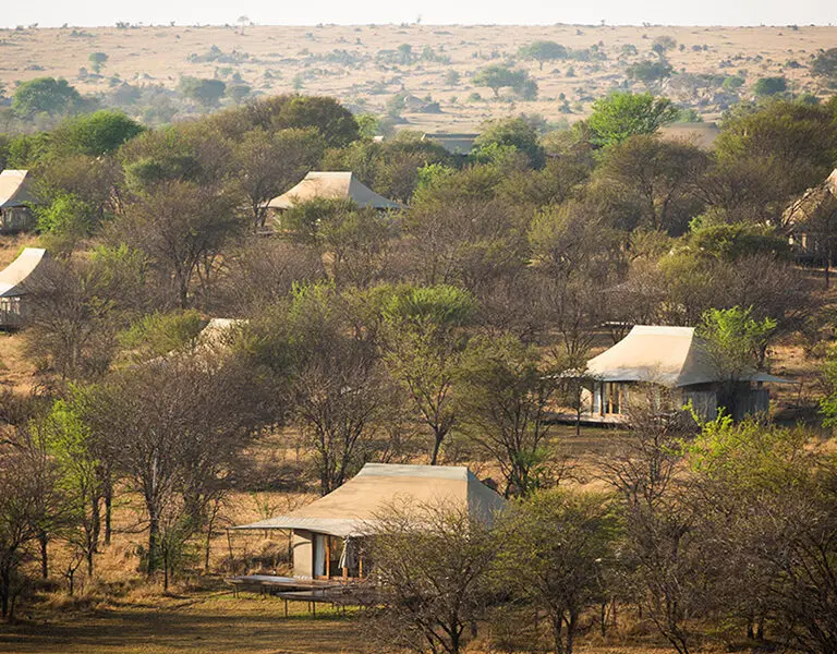Home is a luxury tented suite in the heart of the Serengeti | Asilia Africa