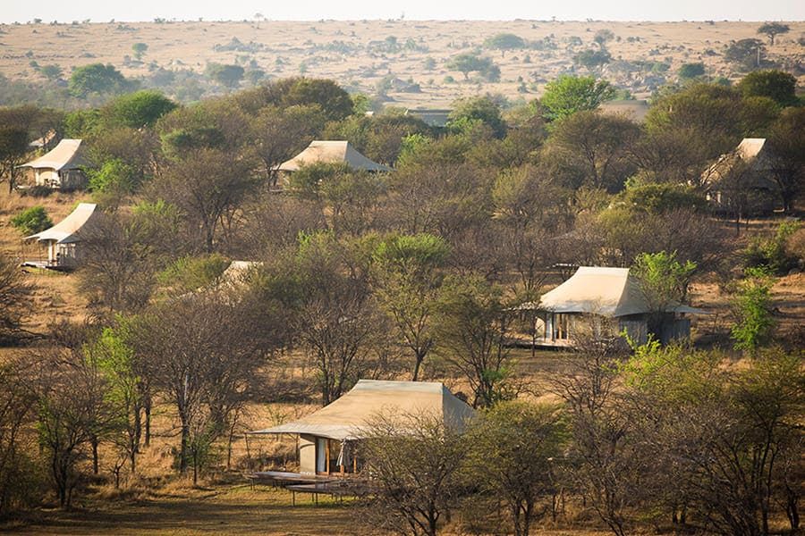 Home es una lujosa suite en una tienda de campaña en el corazón del Serengeti | Asilia Africa