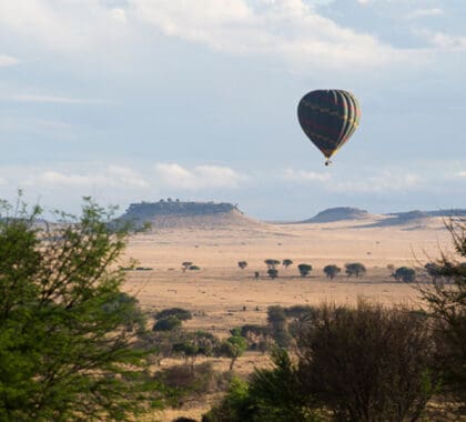 Experimente la belleza del Mara en globo aerostático en el Sayari Camp. | Asilia África