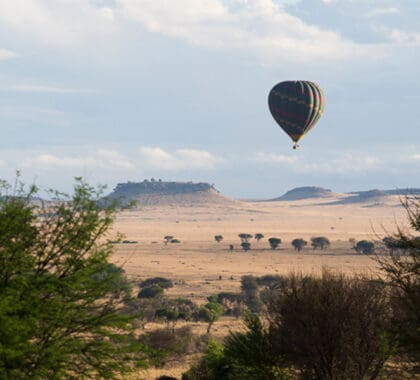 Sayari---Camp-hot-air-ballooning