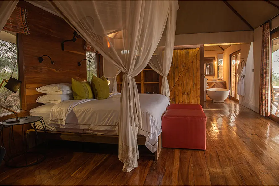 sayari-family-tent-habitación principal