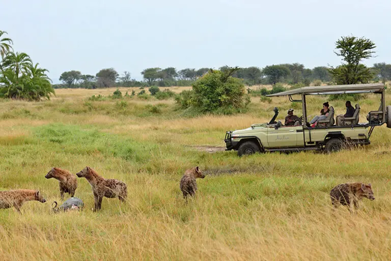 Game drives in the north of the Serengeti National Park.