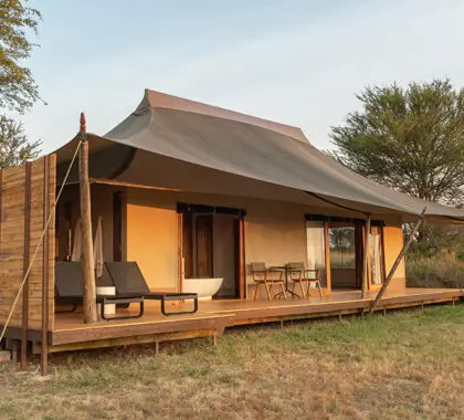 Sayari guest tent exterior.
