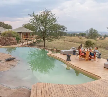 The Sayari swimming pool.