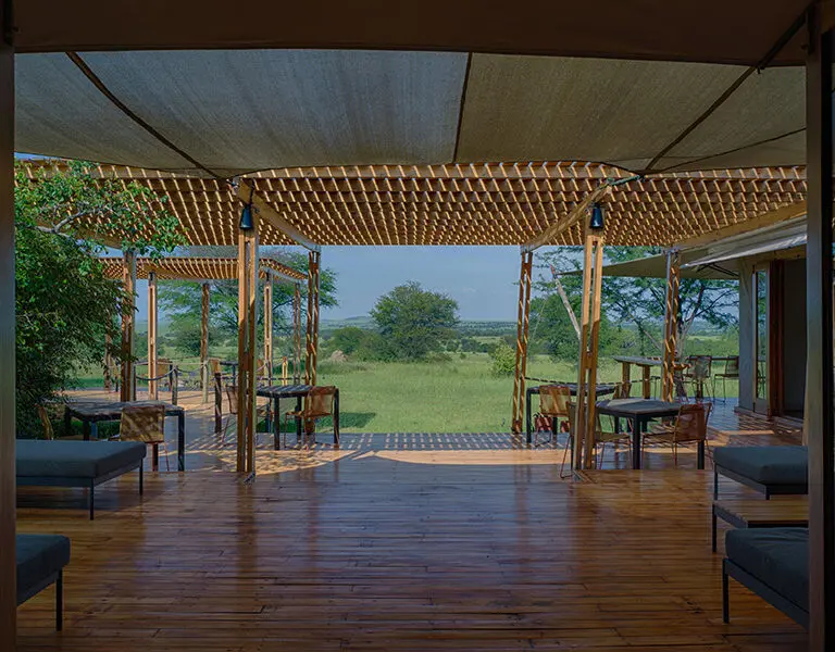 Sayari main area deck.